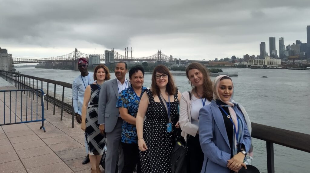 6 członków delegacji IFLA na tle krajobrazu Nowego Jorku i pochmurnego nieba.